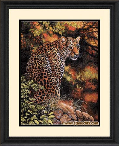 Взгляд Леопарда (35209) (набор для вишивки Dimensions. The Golden Collection.) (фото)
