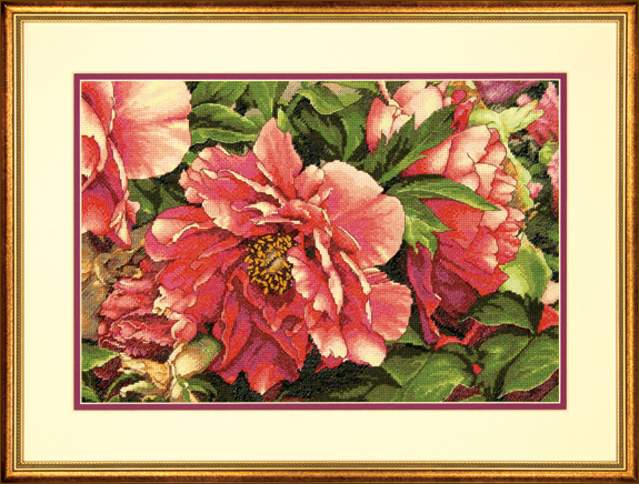   (Coral Peonies)(70-35298) (   Dimensions. The Golden Collection.) ()