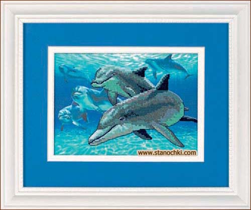    (06944) Deep Sea Dolphins    Dimensions (USA) ()
