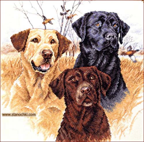 Dimensions 35096 Great Hunting Dogs      Dimensions ()