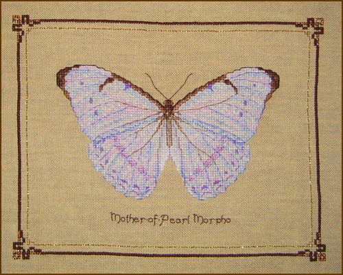 Mother-of-Pearl Morpho Pangaea набор для вишивання (фото)